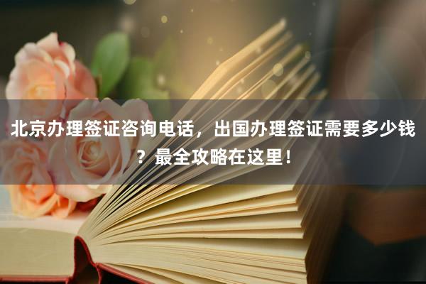 北京办理签证咨询电话，出国办理签证需要多少钱？最全攻略在这里！