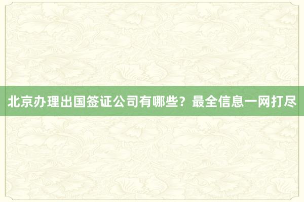 北京办理出国签证公司有哪些？最全信息一网打尽