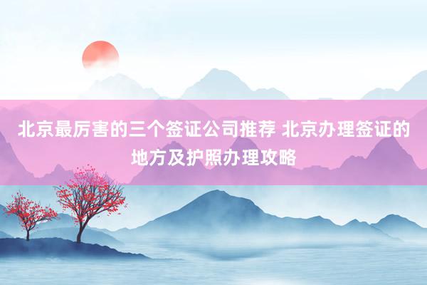 北京最厉害的三个签证公司推荐 北京办理签证的地方及护照办理攻略