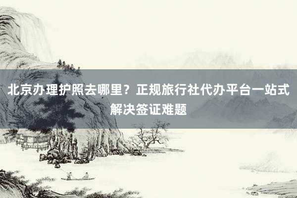 北京办理护照去哪里？正规旅行社代办平台一站式解决签证难题