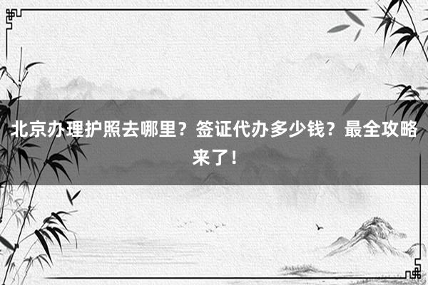 北京办理护照去哪里？签证代办多少钱？最全攻略来了！