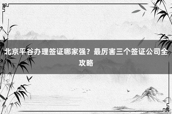 北京平谷办理签证哪家强？最厉害三个签证公司全攻略