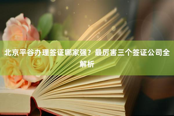 北京平谷办理签证哪家强？最厉害三个签证公司全解析